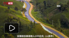 河南信陽：“紅旅”“茶旅”等發力 前8月文旅攬金超240億元
